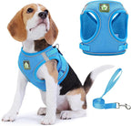 Step in Dog Harness with Leash Set, Adjustable Soft Padded and Breathable Mesh for Small Sized Dog, Reflective No Pull No Choke Cat Vest Harness, Easy Control Pet Vest, Blue L