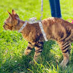TIESOME Cat Harness and Leash Set, Adjustable Gradient Kitten Harness Escape Proof Harness with Leash for Kitty Outdoor Walking (Bow Tie)