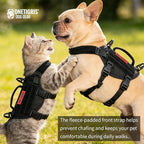 Puppy Harness, Small Dog Harness with Handle, No-Pull Pet Harness for Small Dog Cat(XXS)