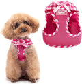 PUPTECK Dog Harness for Puppy and Small Sized Dogs, Step-in No Pull Soft Mesh Vest Harness for Cats Small Pets Walking, Fuschia, New XS