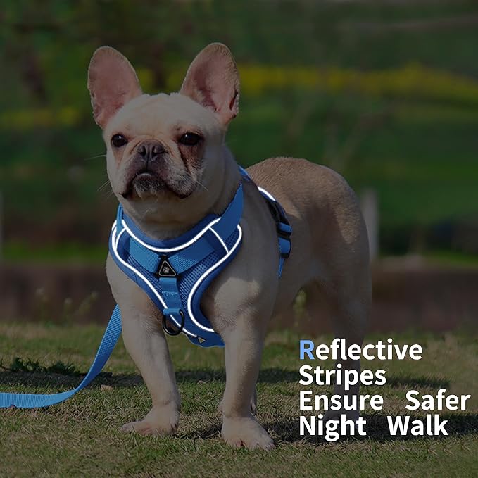 No Pull Dog Harness with Leash Set for Small Sized Dog, Reflective Adjustable No Choke Front Clip Cat Vest Harness with Breathable Mesh, Comfortable Soft Padded Pet Vest, Blue M