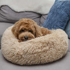 Calming Donut Dogs Beds for Small Dogs Washable,19inch Fluffy Round Puppy Bed for Puppies,Cats & Toy Breeds with Raised Rim,Fits up to 15 lbs Pets,Beige