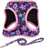 Step in Dog Harness and Leash Set, Reflective Adjustable No Pull Dog Harness for Extra-Small/Small Dogs Puppy and Cats, Soft Padded Mesh Vest Harnesses for Girl and Boy Pets(Pink Floral,XS)