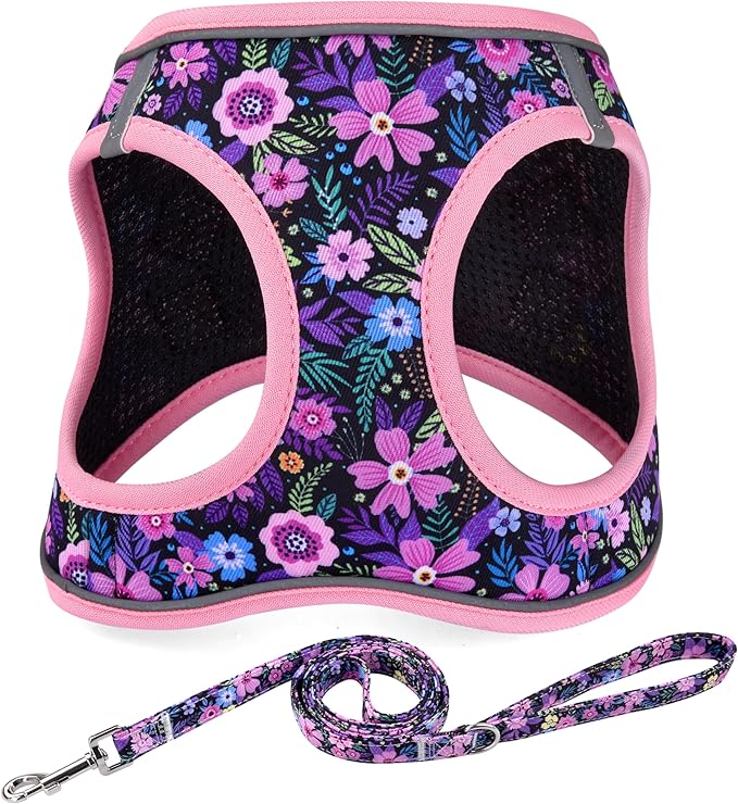 Step in Dog Harness and Leash Set, Reflective Adjustable No Pull Dog Harness for Extra-Small/Small Dogs Puppy and Cats, Soft Padded Mesh Vest Harnesses for Girl and Boy Pets(Pink Floral,XS)
