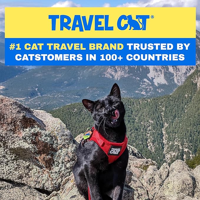 Travel Cat Harness and Leash Set - Adjustable Fit Mesh Cat Harness and Reflective Strap - Comfort Walking Vest for Kitten for Outdoor Walking, Hiking (Small, Red)