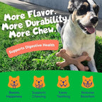 Chew’EMS X Bone Dog Chew Toy for Aggressive Chewers – Long-Lasting Bacon Flavor Nylon Bone – Durable, Rawhide-Free Dental Toy - Small Size – Made in USA