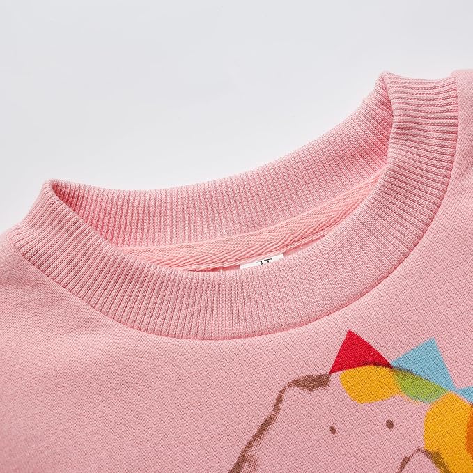 RETSUGO Toddler Baby Girls Sweatshirts Casual Pullover Crewneck Winter Long Sleeve Tops Shirts Clothes 3T-8T