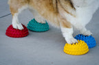 FitPAWS Paw Pods for Dog Agility