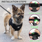 Dog Harness with Airtag Holder for Small Dogs, Puppy, Cats - No Pull Step in Small Dog Harness and Reflective Dog Leash Set for Walking Training Travel Grooming Outdoor