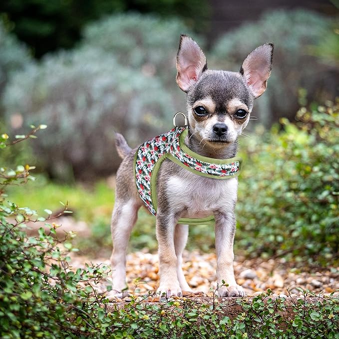 Mile High Life Dog Harness, Air Mesh Floral Vest Harness for 20 lbs Small Dogs & Cats, Easy Get on Adjustable Easy Closures Both Neck and Chest(Wild Rose, S Chest 16"-18")
