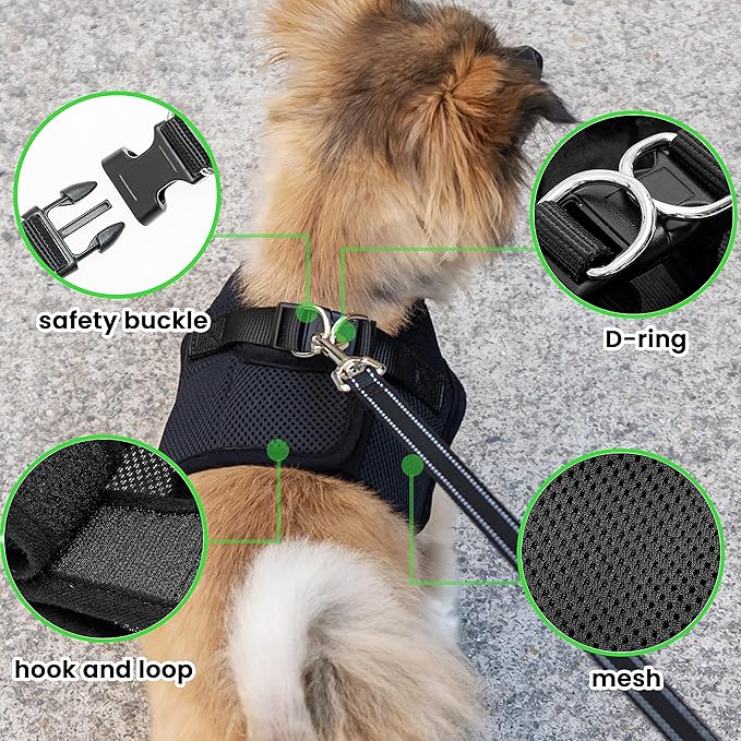 Dog Harness with Airtag Holder for Small Dogs, Puppy, Cats - No Pull Step in Small Dog Harness and Reflective Dog Leash Set for Walking Training Travel Grooming Outdoor