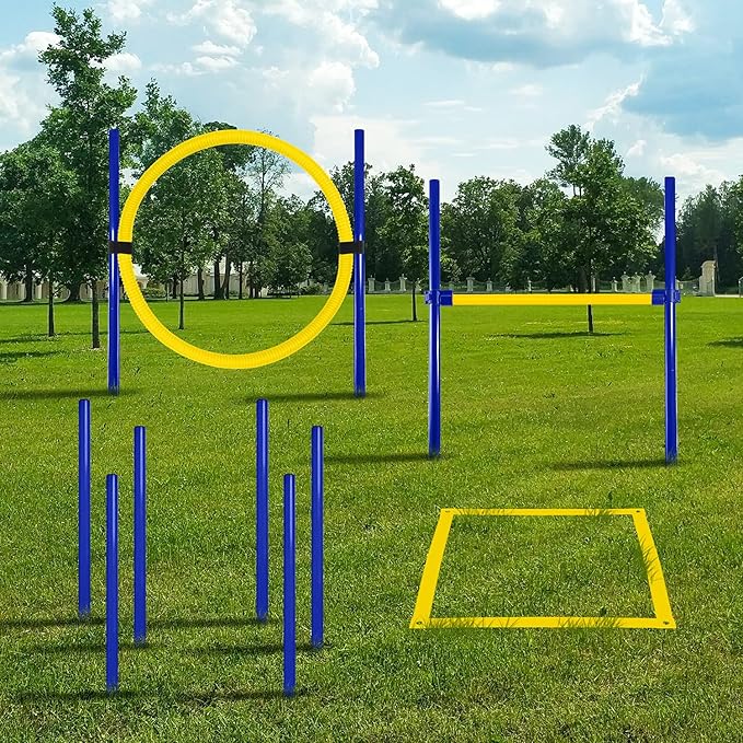 Dog Agility Training Equipment, Dog Obstacle Course, Exercise Fun for Pets (Yellow)