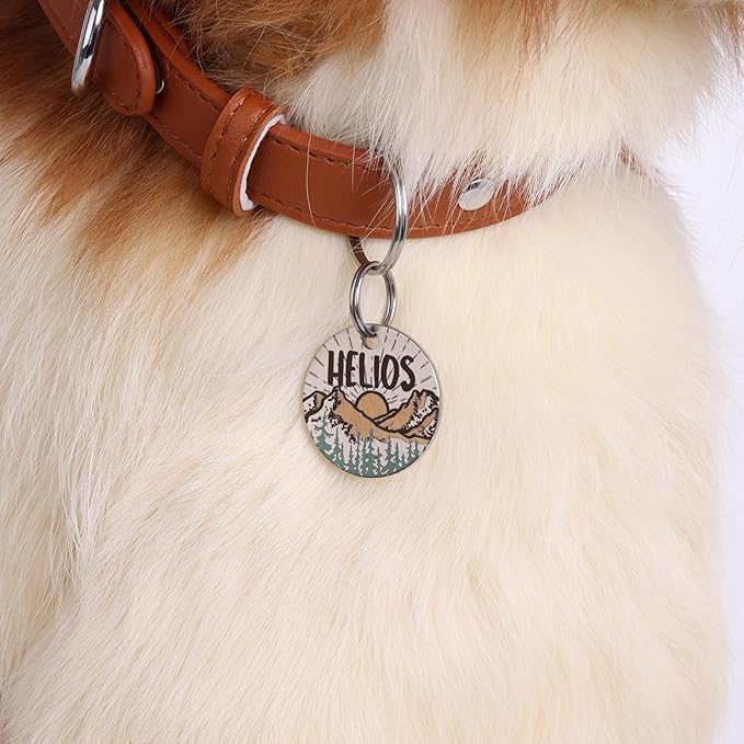 MYXGY Colorful Dog Tags Personalized, Engraved Dog Tags with Colored Printing for Pets, Customizable Cat Collar Holder Tag (Sunshine)