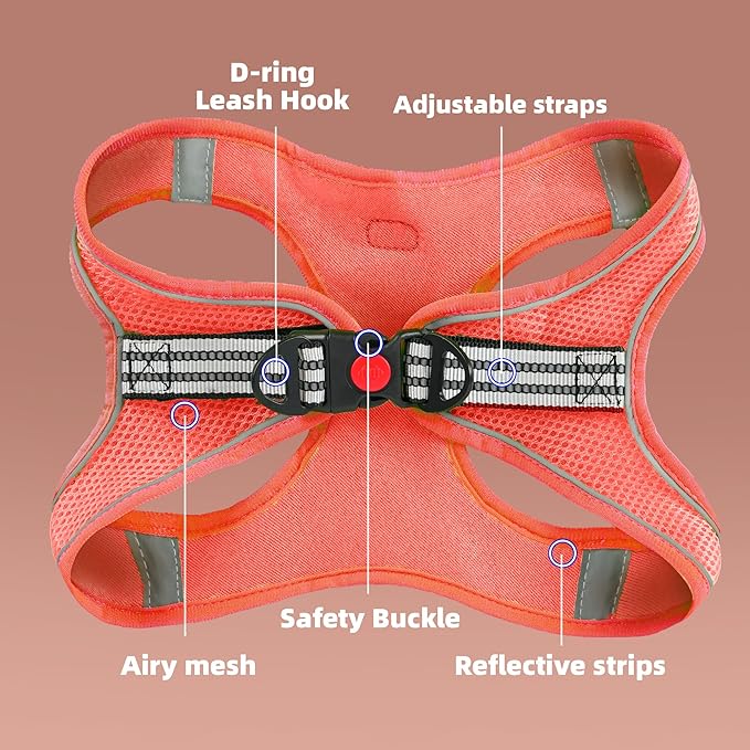 ROYPET Step-in Air Dog Harness, All Weather Mesh Step in Vest Harness for Small and Medidum Dogs and Cats, Adjustable Soft Padded Dog Vest with Easy Control Handle for Dogs Pets (Vermilion, XS)