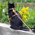 Cat Harness with Airtag Holder and Leash Set, Escape Proof Cat Harness for Walking Traveling Hiking Outdoor, Adjustable Step in Pet Harness for Small Medium Large Cats, Puppy, Kitten