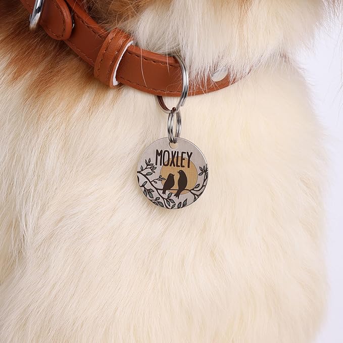 MYXGY Dog Tags Personalized, Engraved Dog Tags with Colored Printing for Pets, Dog Name tag with deep Engraving, Custom pet ID Tags, Customizable cat Collar Holder tag (Bird), XDT001