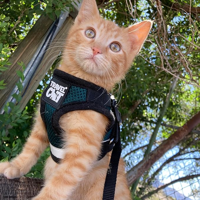 Travel Cat The Emerald Explorer Limited Edition Green Harness and Leash Set - Adjustable Fit Mesh Cat Harness with Reflective Strap - Escape Proof Harness for Cats, Kitten (Large)