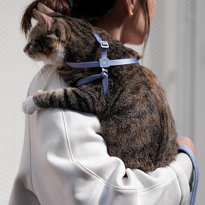 Cat Harness and Leash 2-in-1, Escape Proof Anti-Chocking Harness Adjustable Lighweight Leash for Walking Outoor Training for Kitten Small to Large Cats Puppy, US IDA Bronze Award (Blurple)
