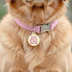 Bad Tags Personalized Dog and Cat ID Tags in 25+ Designs and 2 Sizes - 5 Lines of Custom Engraved Text - Funny Cute Personalized Pet Tags (Resident Crackhead - Yellow, Small (1 inch))