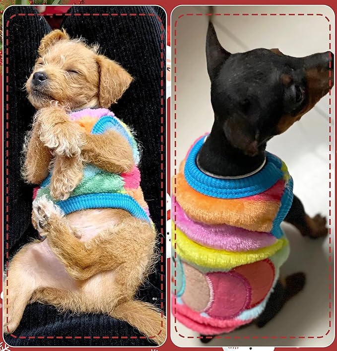 2 Pieces XXS Chihuahua Cute Small Dog Puppy Winter Extra Small Dachshund Sweater Fleece Pet Clothing