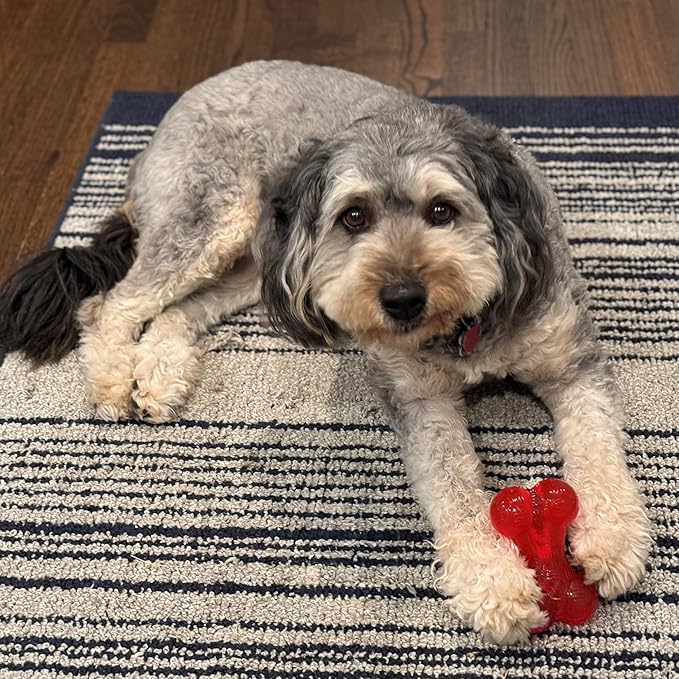 SPOT Play Strong Bone- Durable TPR Long Lasting Dog Chew for Aggressive Chewers, Hole for Treats, Virtually Indestructible Toy for Small and Medium Dogs & Puppies - 4.5 inch