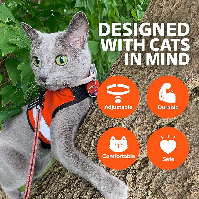 Kitty Holster Reflective Cat Harness – High-Visibility Cat Harness for Travel, Day and Night Walking - Soft Cotton Cat Accessories, Breathable, Secure & Washable, Made in USA - Outrageous Orange, XL