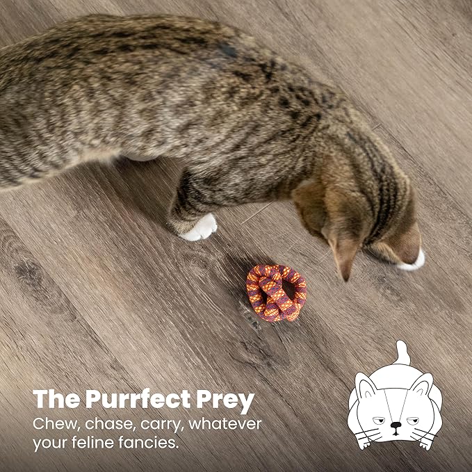 Catstages Plaque Away Pretzel Cat Toy – Interactive Catnip Dental Chew Toy to Help Clean Teeth, Fun for Play and Chewing, Orange
