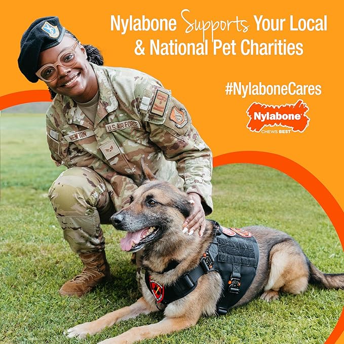 Nylabone Textured Bone Power Chew Toy for Dogs, Durable & Tough Dog Toys for Aggressive Chewers, Basted Blast Bacon & Steak Flavor, Medium Dogs - Up to 35 lbs, 1 Count