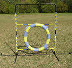 Agility Tire Jump - Double Walled Inflatale Tires with a Metal Frame Setup for Competition and Training