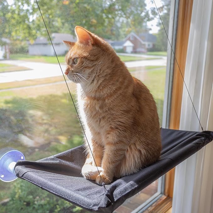 Cat Window Perch - Cat Window Hammock with Strong Suction Cups and Removable Machine Washable Oxford Cloth Cat Bed for Large Cats by PETMAKER (Black)