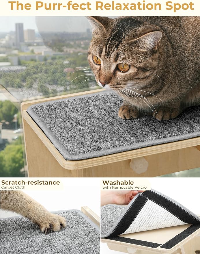 Pecute Double Cat Shelves with Scratching Post for Wall and Window with Solid Wood, Strong Suction Cup, Washable Cover Mat, Cats Perch Bed for Birds Watching Inside Indoor Cat Hammock Bed