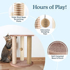 Cat Scratching Post - 3 Scratcher Posts with Carpeted Base Play Area and Perch - Furniture Scratching Deterrent for Indoor Cats by PETMAKER (Brown), Large