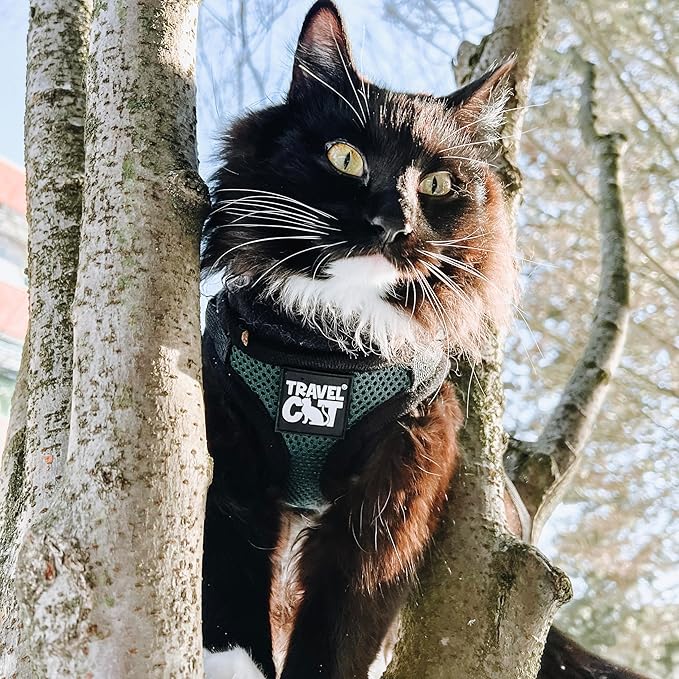 Travel Cat The Emerald Explorer Limited Edition Green Harness and Leash Set - Adjustable Fit Mesh Cat Harness with Reflective Strap - Escape Proof Harness for Cats, Kitten (Emerald, Extra Small)