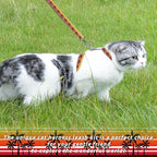 Cat Harness and Leash Set, Adjustable Kitten Harness Escape Proof Cats Harness, Soft Lightweight Walking Travel Pet Harness, Cute Kitty Harness Leash Set for Small Medium Cats, Orange