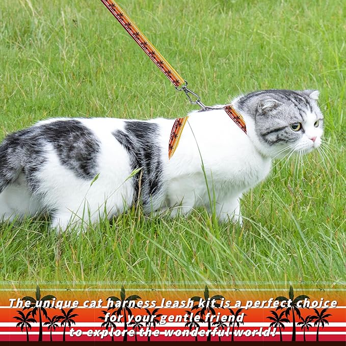 Cat Harness and Leash Set, Adjustable Kitten Harness Escape Proof Cats Harness, Soft Lightweight Walking Travel Pet Harness, Cute Kitty Harness Leash Set for Small Medium Cats, Orange