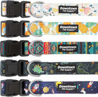Downtown Pet Supply - Best, Cute & Fancy Dog Collar - Lightweight Adjustable Dog Collar with Quick Buckle & D-Ring - Hand Wash Safe - Dino - S - Small Dog Collar