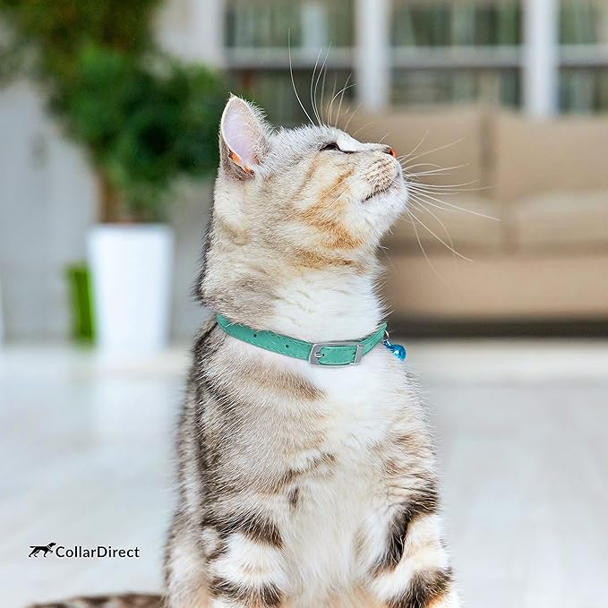 CollarDirect Leather Cat Collar with Bell - Kitten Collar, Small and Big Cat Collar for Boy Cats, Girl Cats with Safety Elastic Strap (Neck Fit 6"-7", Mint Green)