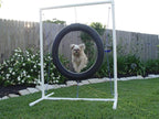 Tire Jump - Dog Agility Equipment