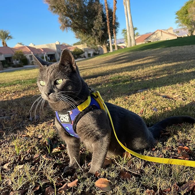 Travel Cat Harness and Leash Set - Adjustable Fit Harness and Reflective Strap - Comfort Walking Vest for Kitten for Outdoor Walking, Hiking (Small, 90s Cat)