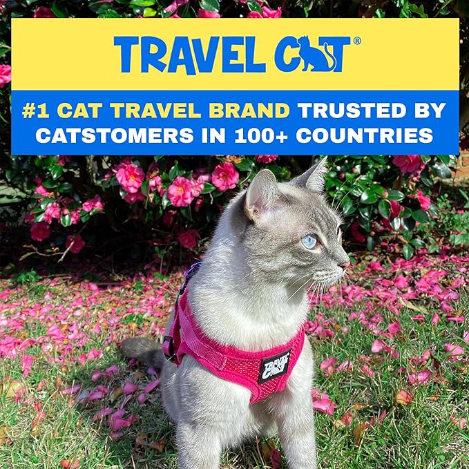Travel Cat Harness and Leash Set - Adjustable Fit Mesh Cat Harness and Reflective Strap - Comfort Walking Vest for Kitten for Outdoor Walking, Hiking (Small)