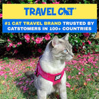 Travel Cat Harness and Leash Set - Adjustable Fit Mesh Cat Harness and Reflective Strap - Comfort Walking Vest for Kitten for Outdoor Walking, Hiking (Large)