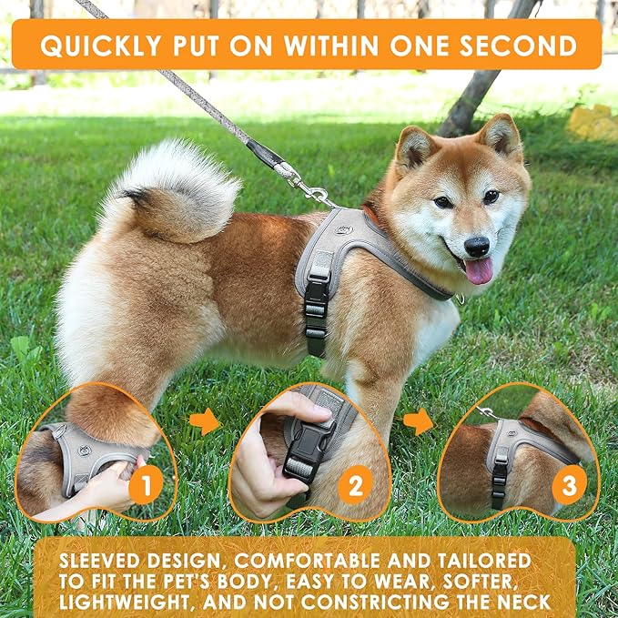 Dog Harness and Leash Set, No Pull Saddle Style Pet Harness, Breathable Mesh Adjustable Reflective Dog Vest for Dogs and Cat Medium Small Harness 2 D-Rings (Grey, S)