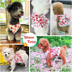 Cute Floral Dog Harness Dress and Leash Set for Small Dogs Cats Girl Puppy Bowknot Princess Birthday Dress Summer Female Pet Small Dog Clothes Lace Doggie Kitten Outfits Apparel(Red,XS)