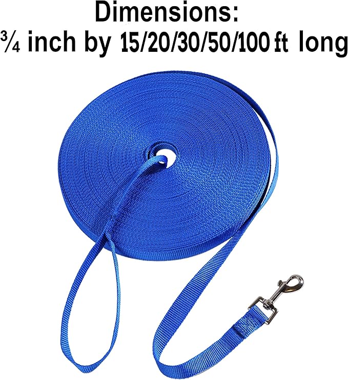 Hi Kiss Dog/Puppy Obedience Recall Training Agility Lead - 15ft 20ft 30ft 50ft 100ft Training Leash - Great for Training, Play, Camping, or Backyard Blue 100 Feet