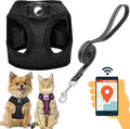Dog Harness with Airtag Holder for Small Dogs, Puppy, Cats - No Pull Step in Small Dog Harness and Reflective Dog Leash Set for Walking Training Travel Grooming Outdoor
