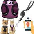 Dog Harness with Airtag Holder for Small Dogs, Puppy, Cats - No Pull Step in Small Dog Harness and Reflective Dog Leash Set for Walking Training Travel Grooming Outdoor
