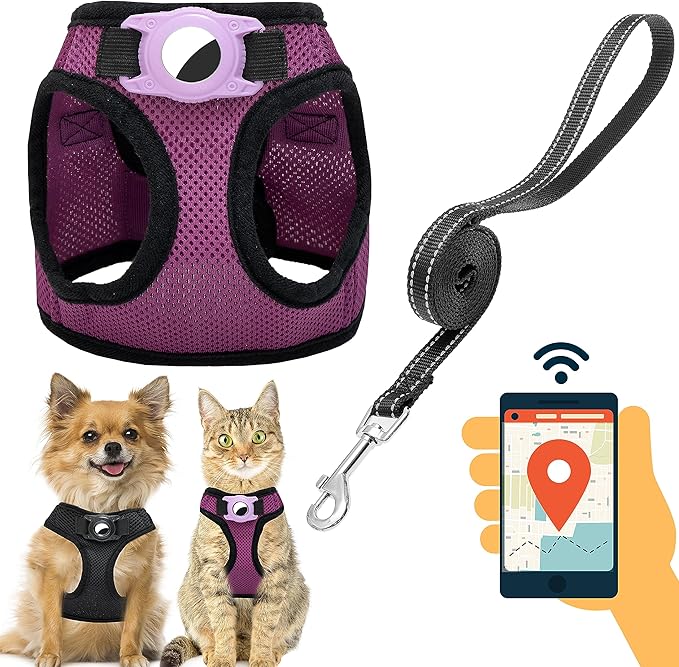 Dog Harness with Airtag Holder for Small Dogs, Puppy, Cats - No Pull Step in Small Dog Harness and Reflective Dog Leash Set for Walking Training Travel Grooming Outdoor