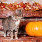 ADOGGYGO Thanksgiving Cat Collars with Removable Flower Bell, Adjustable Thanksgiving Fall Pumpkin Floral Collars for Girl Cats & Kittens