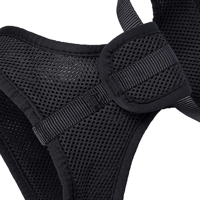 Mile High Life Step in Dog Harness for Small Dogs No Pull, Easy Get on Air Mesh Vest Harness, Adjustable Easy Closures Both Neck and Chest (Black, L Chest 21.6"-43.2")