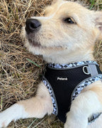 Petank Dog Harness for Small Medium Dogs No Pull, Puppy Harness and Leash Set,Step in Dog Harness for Walking, Running, Training, Small Dog Vest(Black, XXS)